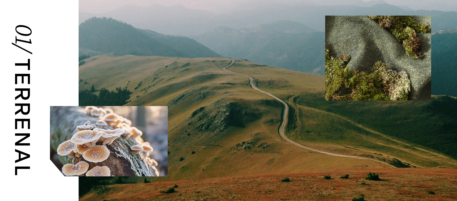 Banner TERRENAL Desktop