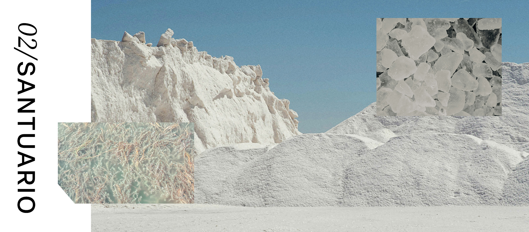 Banner SANTUARIO Desktop